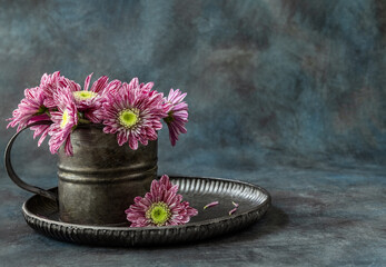 Chrysanthemums in a metal vase. Flowers in a vintage mug. Postcard. Poster. Still life. Rustic...
