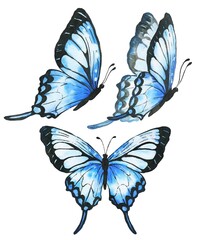 Watercolor blue butterflies set isolated on white background. Watercolour wildlife illustration.