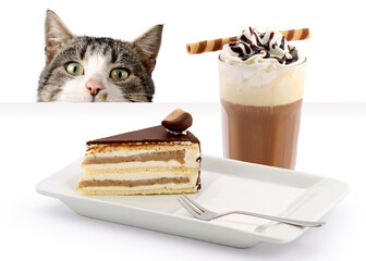 Cat, cake and coffee on a white background - 442681427