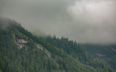 fog in the mountains chill relaxing Backgroubd