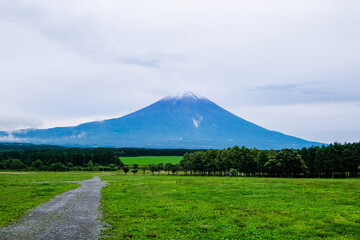 Fototapeta premium キャンプ場からの富士山