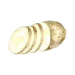 Watercolor chopped potato.