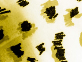 Leopard Skin Texture. White Jungle Leopard .