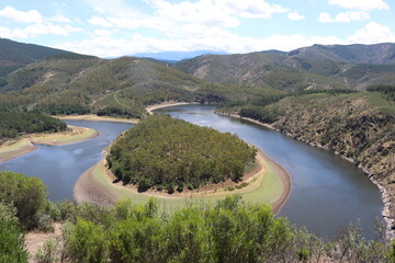 beautiful meander river curves water landscape nature amplitude