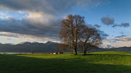 Die Allgäuer Alpen an einem Frühlingsmorgen