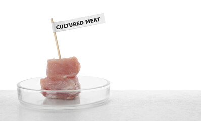 Pieces of raw cultured meat with toothpick label in Petri dish on table against white background,...