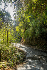 Fototapeta na wymiar The beautiful road, Darjeeling , West Bengal, India