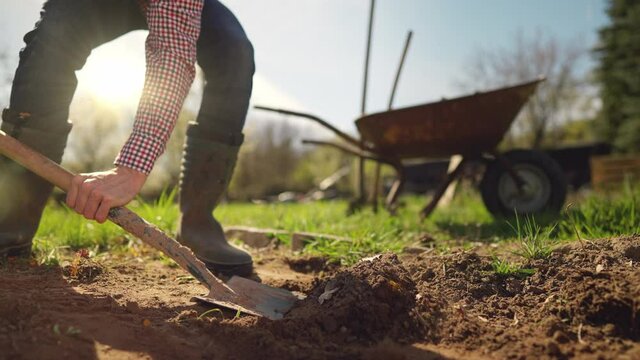 Male farmer in plaid shirt and straw hat is digging in garden with shovel at sunny spring day shot in 4k super slow motion
