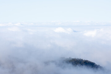A mountain full of trees can be seen in a sea of ​​clouds.