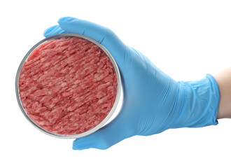 Scientist holding Petri dish with raw minced cultured meat on white background, top view