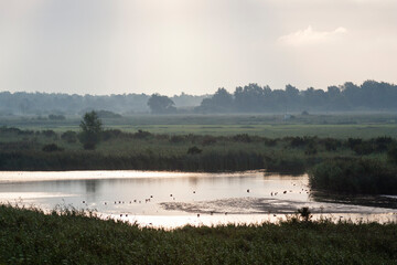 Uitzicht over Oostvaardersplassen, Overview of Oostvaardersplassen