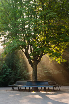 Stadspark in Amsterdam, Citypark in Amsterdam