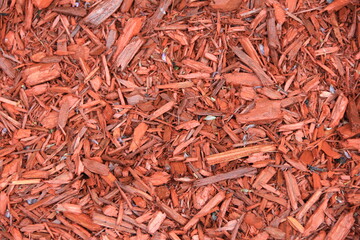 粉々に砕けている木片