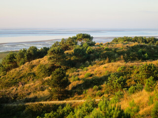 Obraz premium Duinen op Vlieland, Dunes at Vlieland