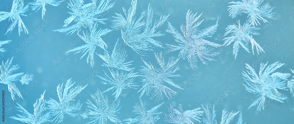 Poster Macro shot of snowflakes on blue background