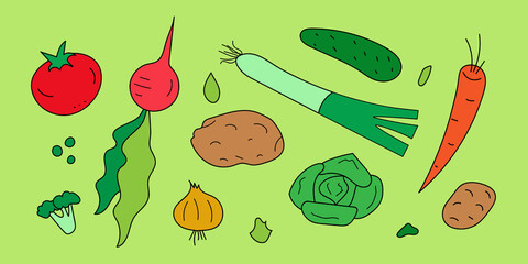 Vegetable set. Hand-drawn cartoon vegetables. Doodle vegetables. Vector flat illustration.