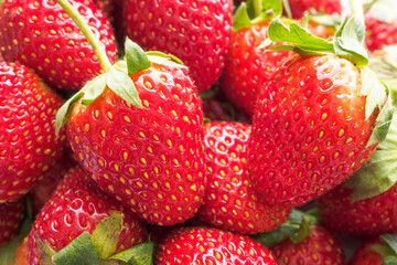 Fresh organic Strawberry fruit background