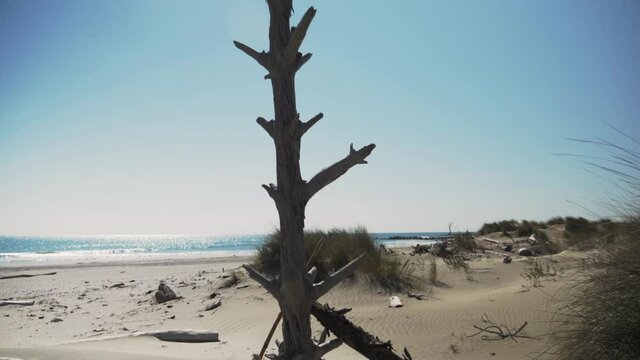 Plage Camargue