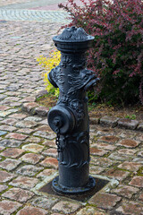 Vintage black German fire hydrant on a cobbled street near The Museum of the World Ocean in Kaliningrad. Beautiful metal hydrant with fish head shape decoration