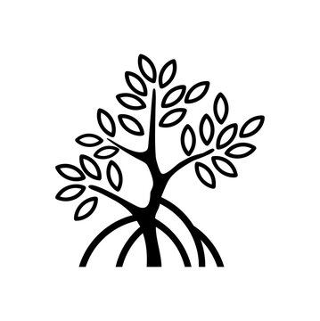 mangrove tree image, icon vector illustration