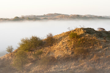 Dunes at Katwijk