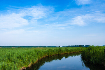 Fototapeta na wymiar Landscape at Nieuwkoopse Plassen