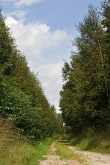 Landscape at Engbertsdijksvenen