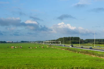 Foto op Plexiglas A4 highway along meadow © AGAMI