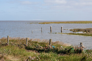 Uitzicht op Waddenzee, View at Wadden Sea