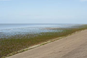 Fotobehang Uitzicht op Waddenzee, View at Wadden Sea © AGAMI