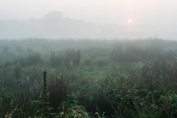Foto auf Leinwand Taubedeckte Landschaft bei Ouderkerk © AGAMI