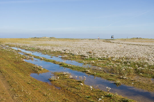 Getijdengebied, Tidal plains
