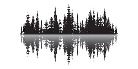 Coniferous forest reflected in water, black and white landscape © Valerii