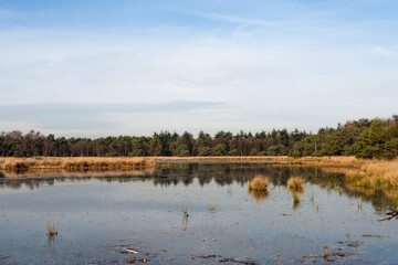 Obraz na płótnie Canvas Waterplas in Het Gooi, Lake in Het Gooi