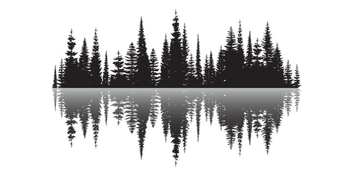 Coniferous forest reflected in water, black and white landscape