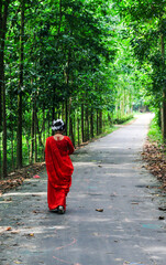 Young woman wearing a red saree walking on green asphalt road. The girl walks along the path in the woods to the light.