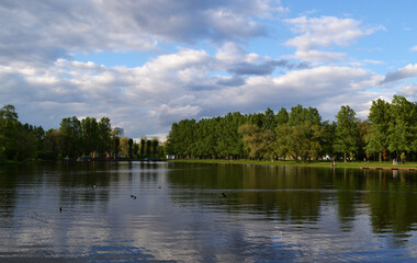 Fototapeta na wymiar Beautiful pond in the city park