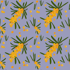 Fototapeta na wymiar Seamless pattern with branches of ripe yellow sea buckthorn on a bright contrasting background, in vector, for decoration of various designs of packaging, textiles, wallpaper, paper