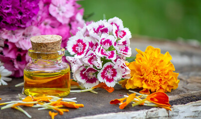essential oils and medical flowers herbs