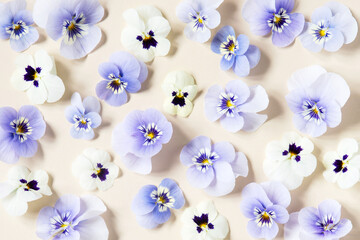 Floral tender pattern, pastel composition with violas