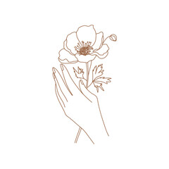 Minimal female hand in trendy linear style. Women's hand with anemone flower. Vector linear boho icon for handmade products, jewelry, cosmetics, wedding concept illustrations etc. Branding.