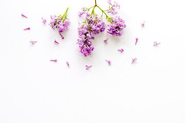 Obraz na płótnie Canvas Blossom lilac flowers - spring branches top view