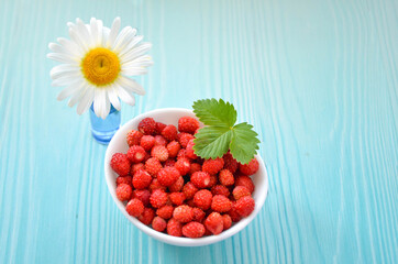 Forest strawberries in white bowl and chamomile flower on light blue wooden background, top view. chamomile and strawberries on table. Summer background. fragrant, fresh and juicy wild berries in sun