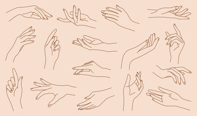 Set of delicate women's hand in trendy linear style. Female hands in various gestures. Vector linear boho icon illustrations. Branding. - obrazy, fototapety, plakaty