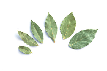 Group of dried bay leaves or laurel isolated on white