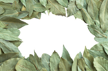 Fototapeta premium Frame of dried bay leaves or laurel isolated on white