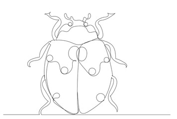 ladybug drawing by one continuous line sketch, isolated, vector