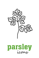Obraz premium Parsley vector flat icon. Vegetable green leaves