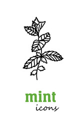 Mint vector flat icon. Vegetable green leaves