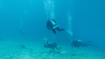 Fototapeta na wymiar Underwater photographing, Silhouettes of divers in blue sea. Phuket. Thailand
